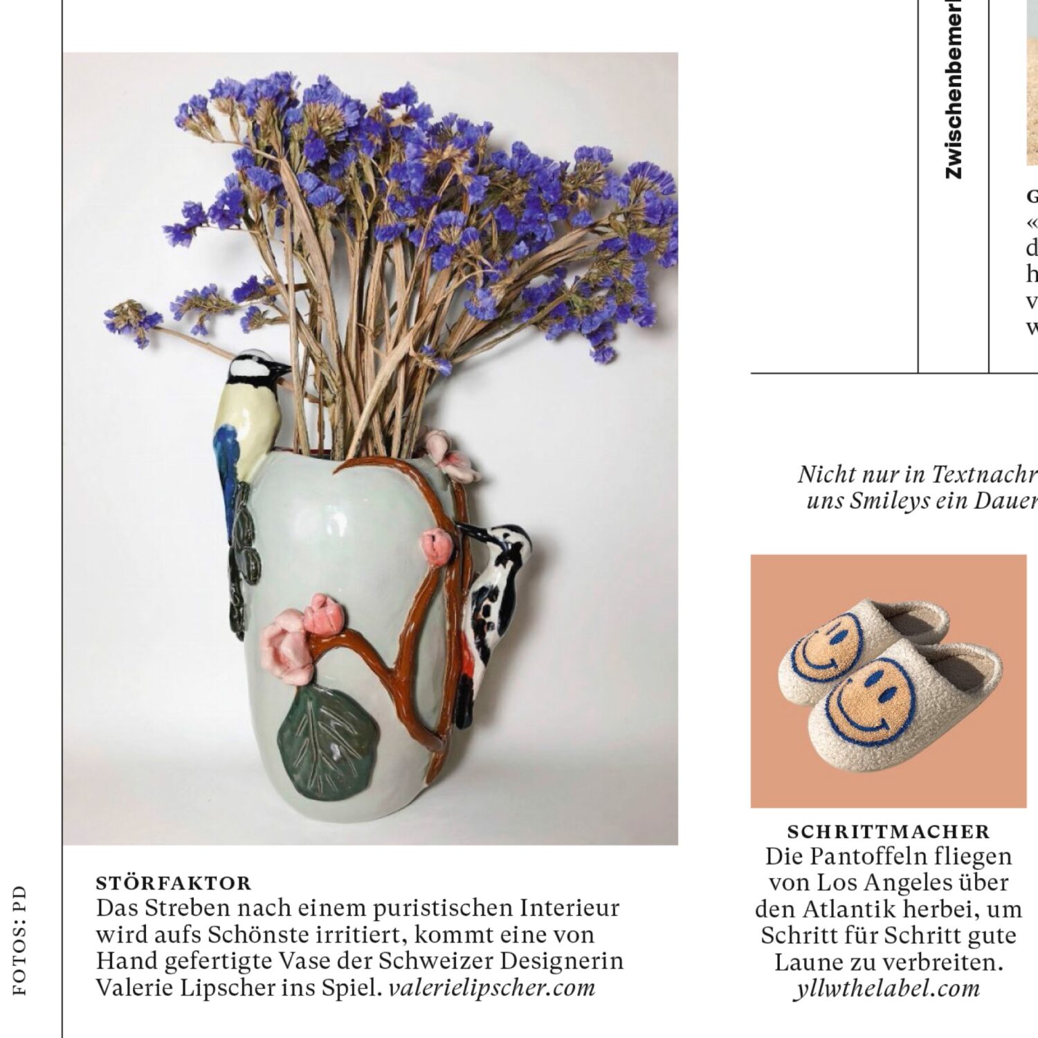 NZZ-am-Sonntag-Valerie-Lipscher