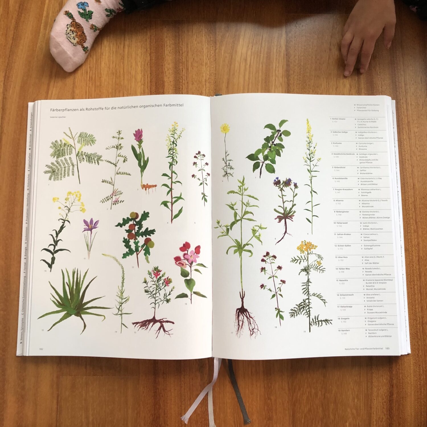 Das Farbenbuch illustrationen Valerie Lipscher