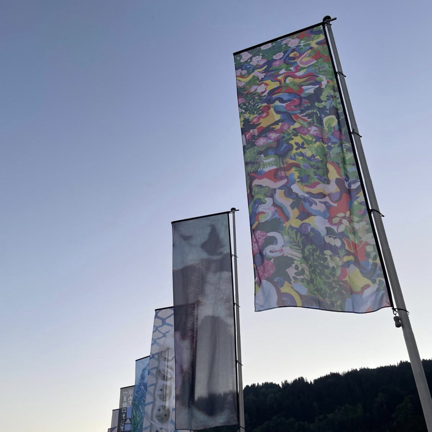 Cularta Laax Ausstellung, Flagge Valerie Lipscher