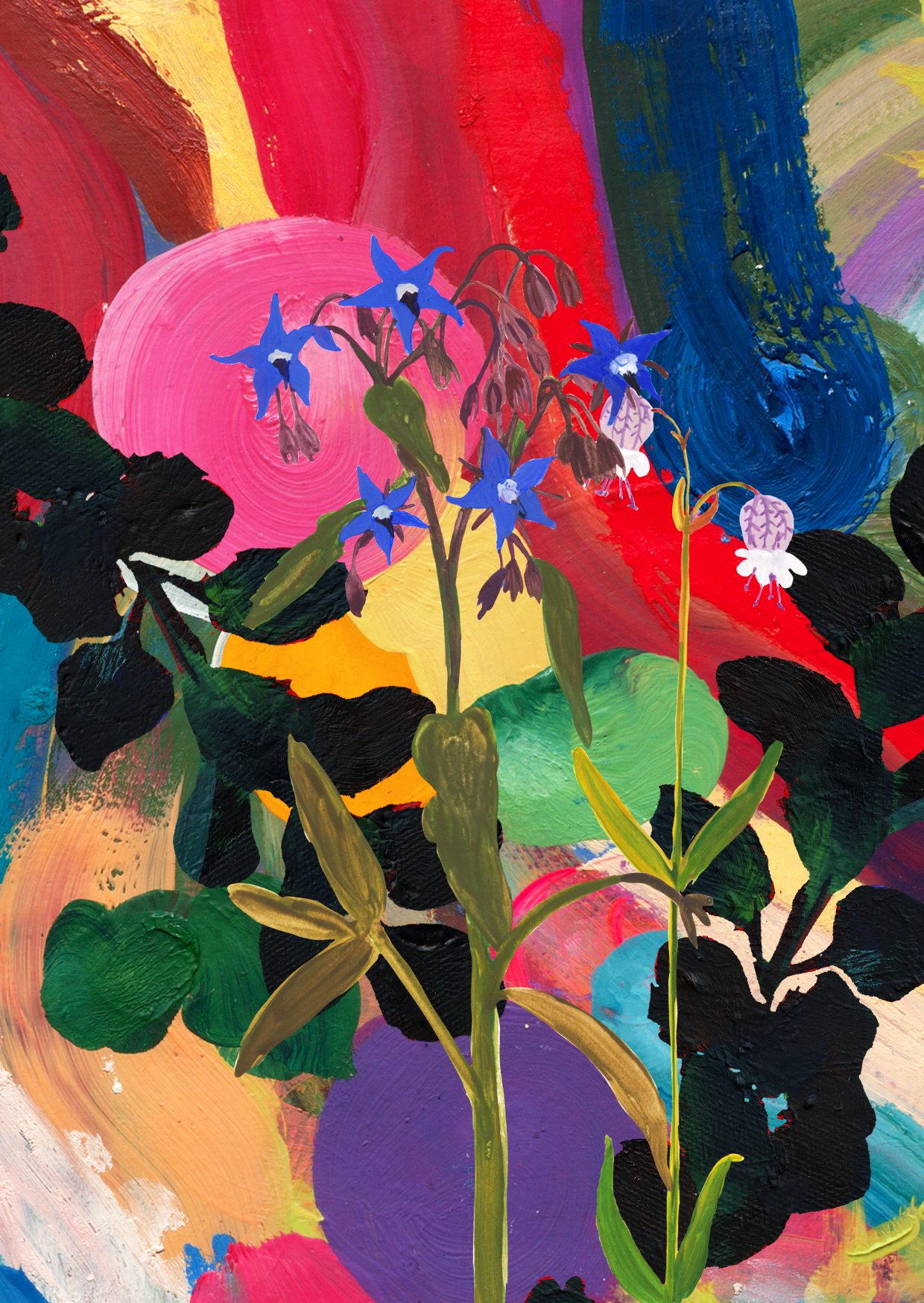 valerie lipscher collectanea